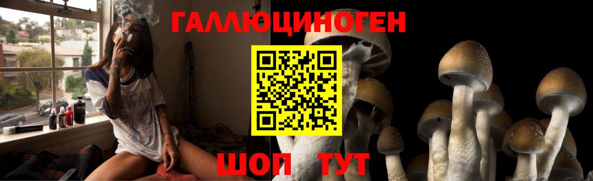 Тихвин  Галлюциногенные грибы Magic Shrooms  Вход с VPN  Галлюциногенные грибы Psilocybe 